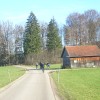 2006-11-19-4385-gross