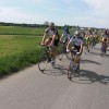 bild-353