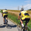 Bild-1