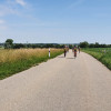 Bild-5